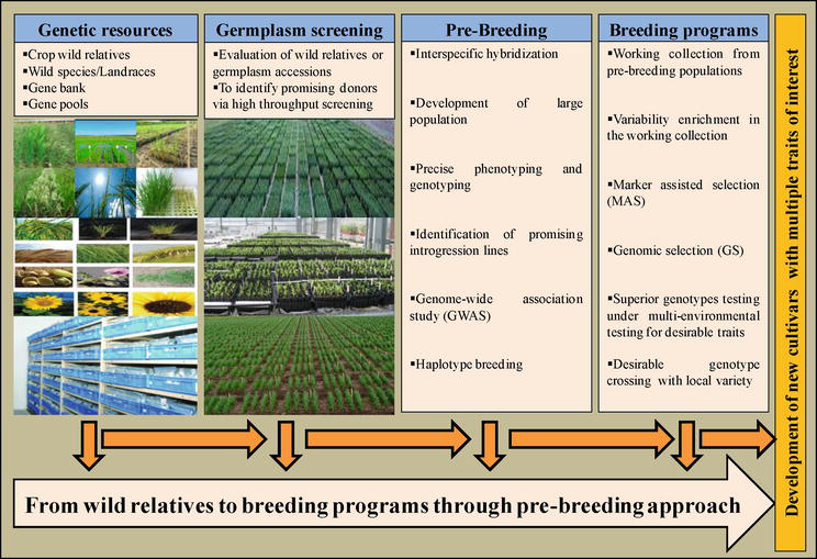 Smart Breeding for Climate Resilient Agriculture IntechOpen