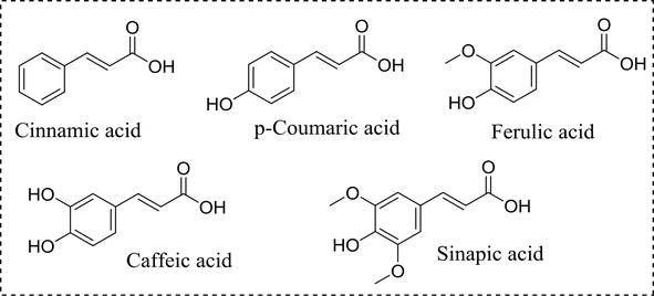 Antioxidant Activity The Presence and Impact of Hydroxyl Groups in