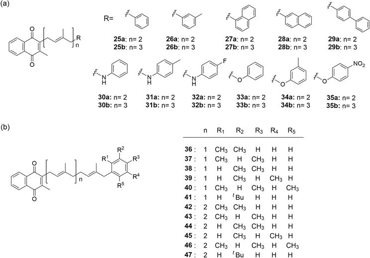 Recent Advances in the Medicinal Chemistry of Vitamin K Derivatives An