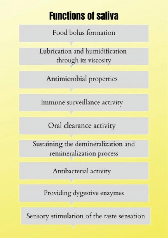 The Influence of Salivary pH on the Prevalence of Dental Caries