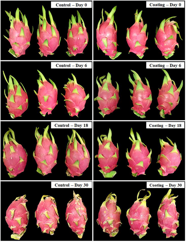 Improved Postharvest Techniques for Fruit Coatings IntechOpen