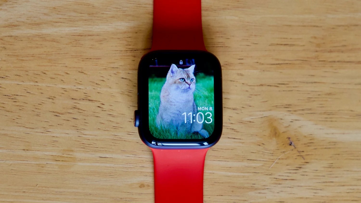 How to Sync, View, and Use Photos on the Apple Watch The Mac Security