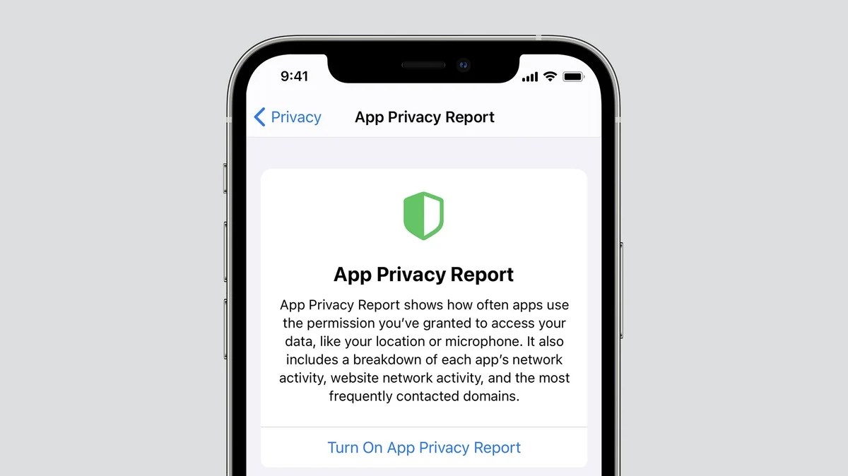 Understanding iOS and iPadOS App Privacy Report The Mac Security Blog