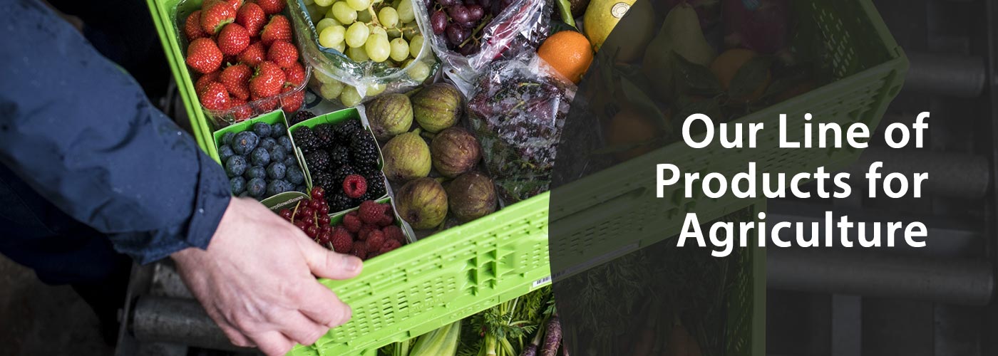 IWL Plastic Pallets Miami