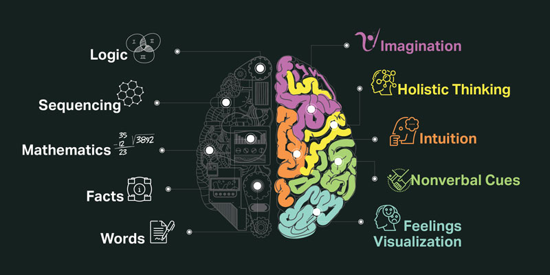 Right Brain + Left Brain = Visual Creativity Produced Daily Delivered