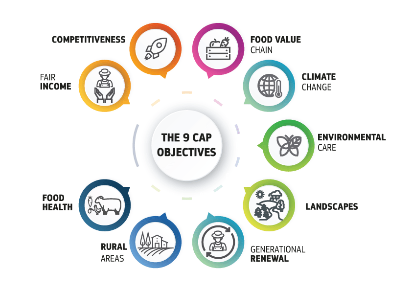European common agricultural policy present and future Analytics, EU