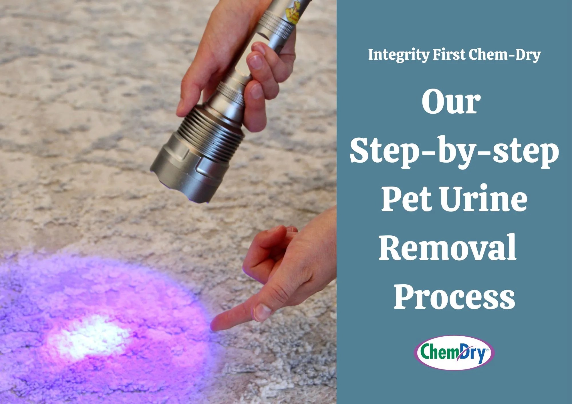 Our Pet Urine Removal Treatment Process Integrity First ChemDry