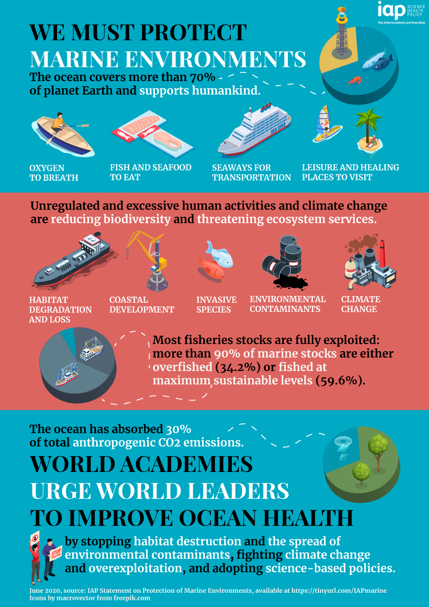 Protection of Marine Environments Infographic