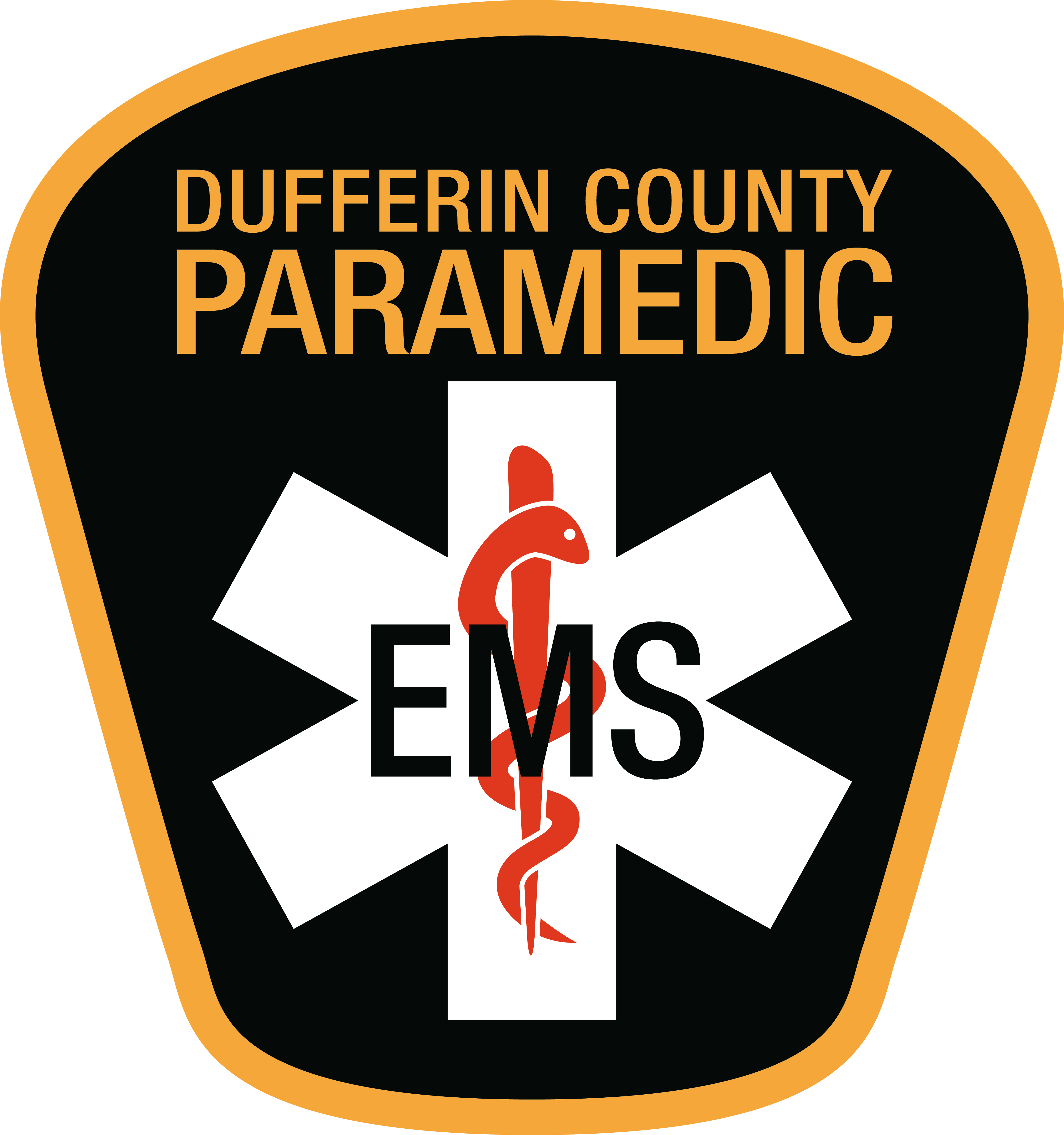 Radius Electronic Medical Record for Community Paramedicine Interdev