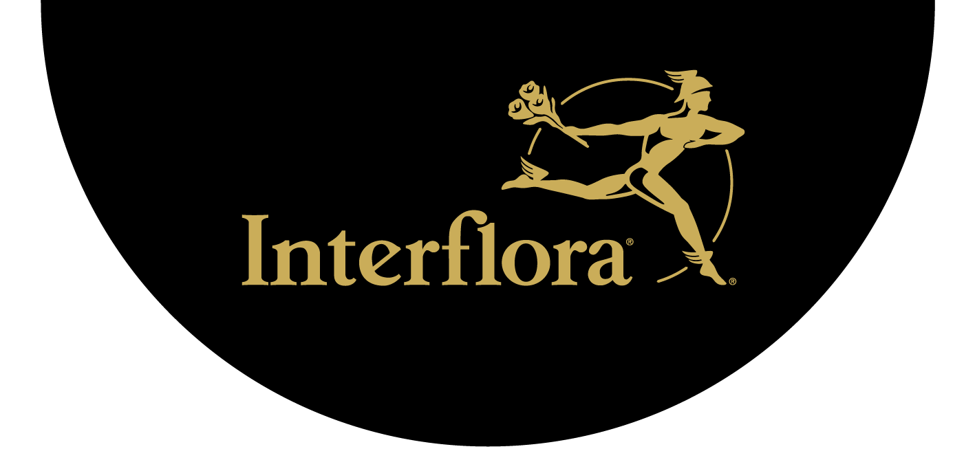 Notre sélection du moment Interflora