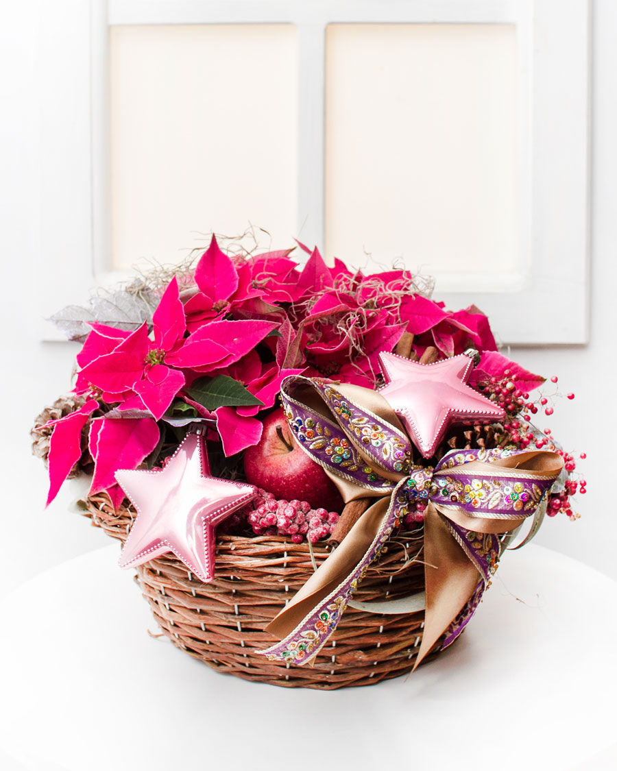Beautiful Poinsettia Arrangement Christmas and New Year Interflora