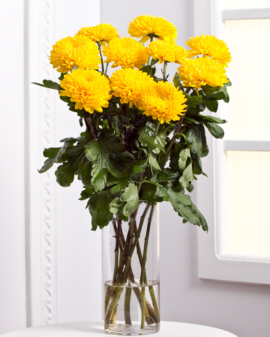 Chrysanthemums Cut flowers Interflora Ukraine. Flower Delivery