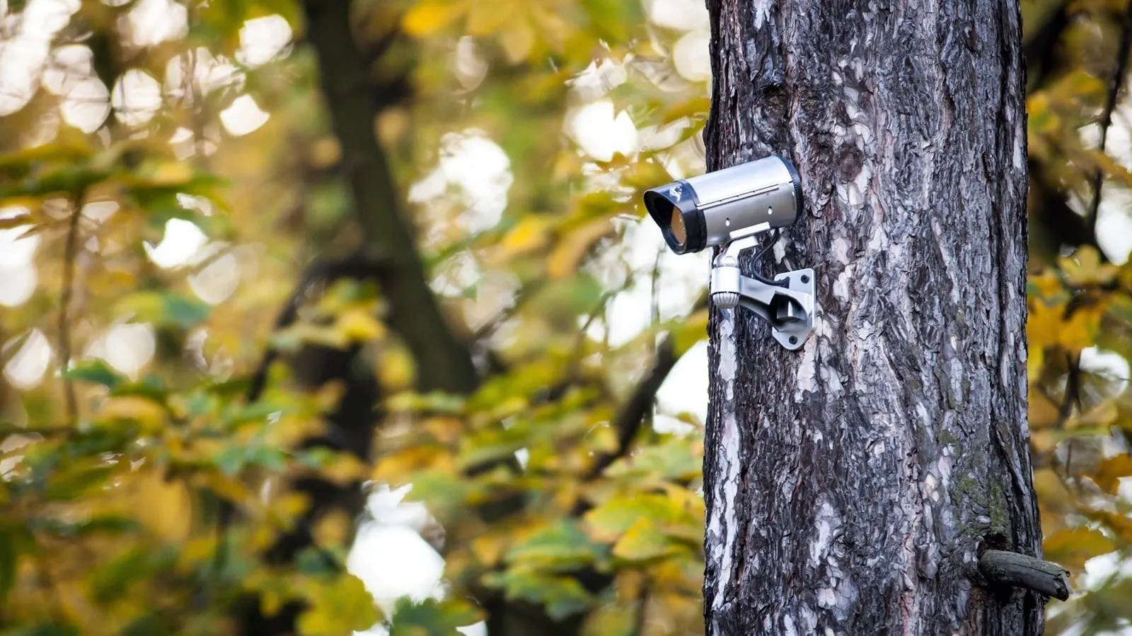 How to Hide a Security Camera Both Inside and Outside!