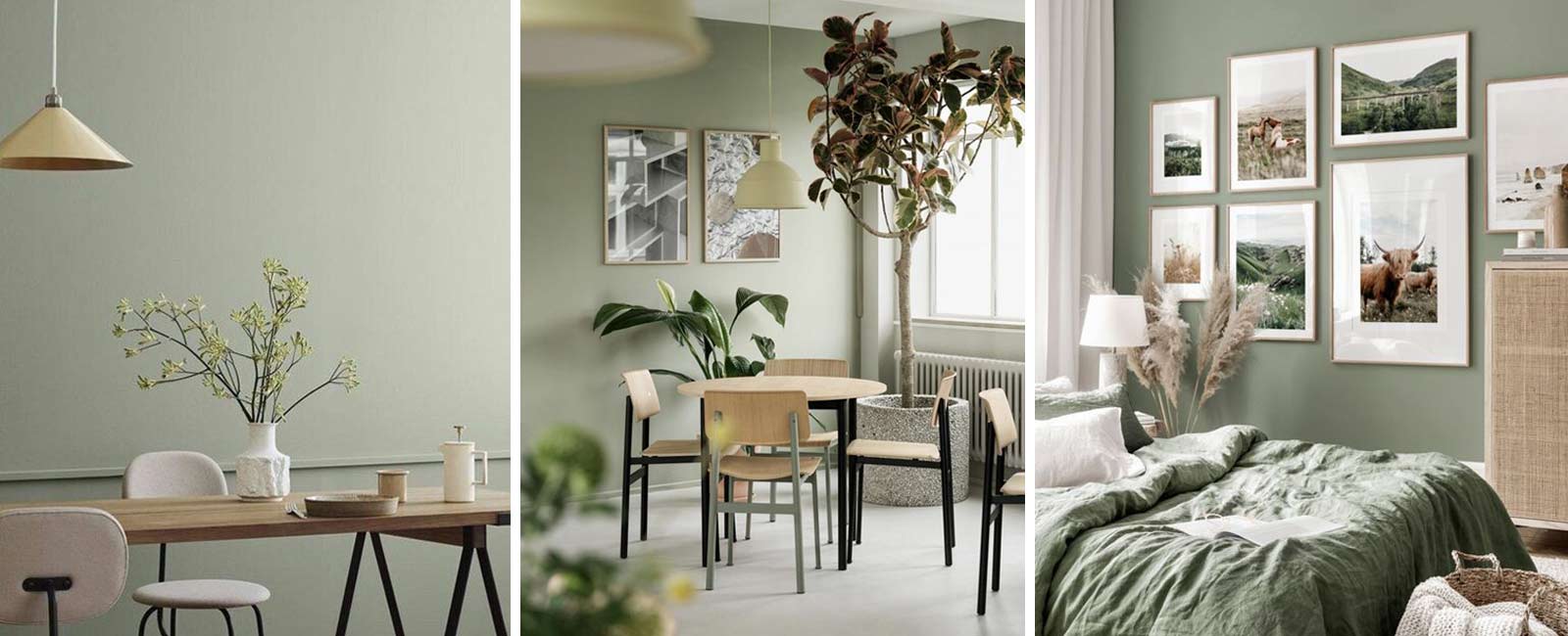Color inspiration sage green Interior Notes