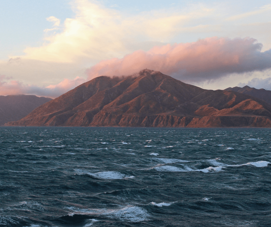 Cook Strait Weather Everything You Need To Know Interislander Cook