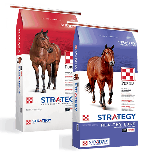 Equine Intermountain Feed & Mercantile