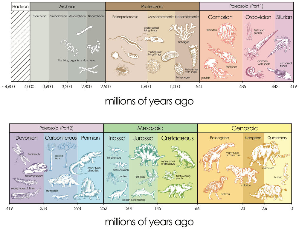 Quaternary Period Plants