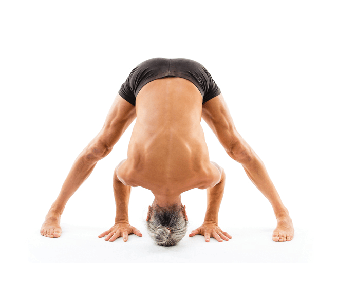 Home - Internoyoga 547_x_656_png