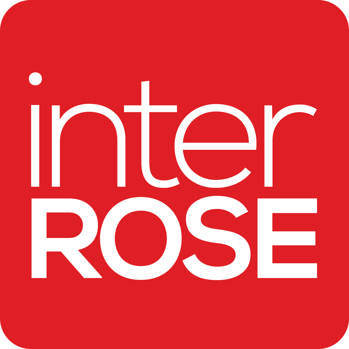 Send Blue Roses Fresh Rose Delivery Send Stunning Roses interROSE