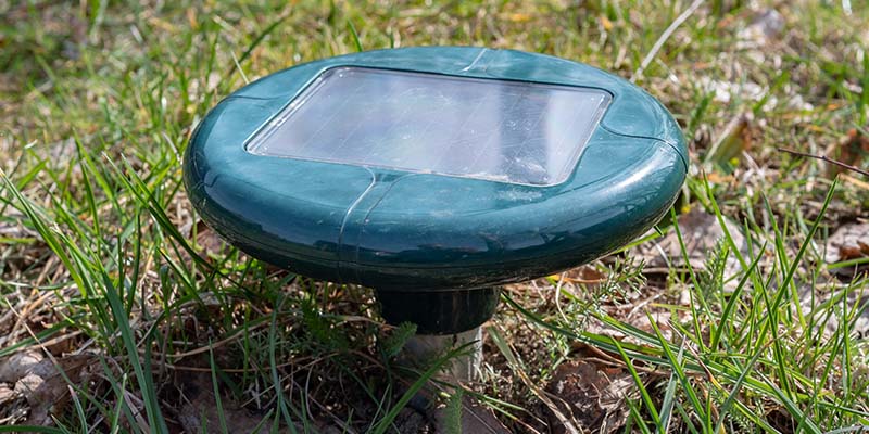 Do Ultrasonic Pest Repellers Work? - Interstate Pest Management