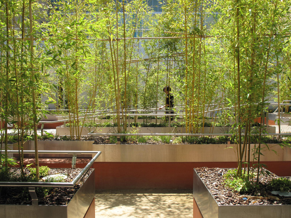 INTERSTICE Architects » Kaiser Vallejo Rehabilitation Courts