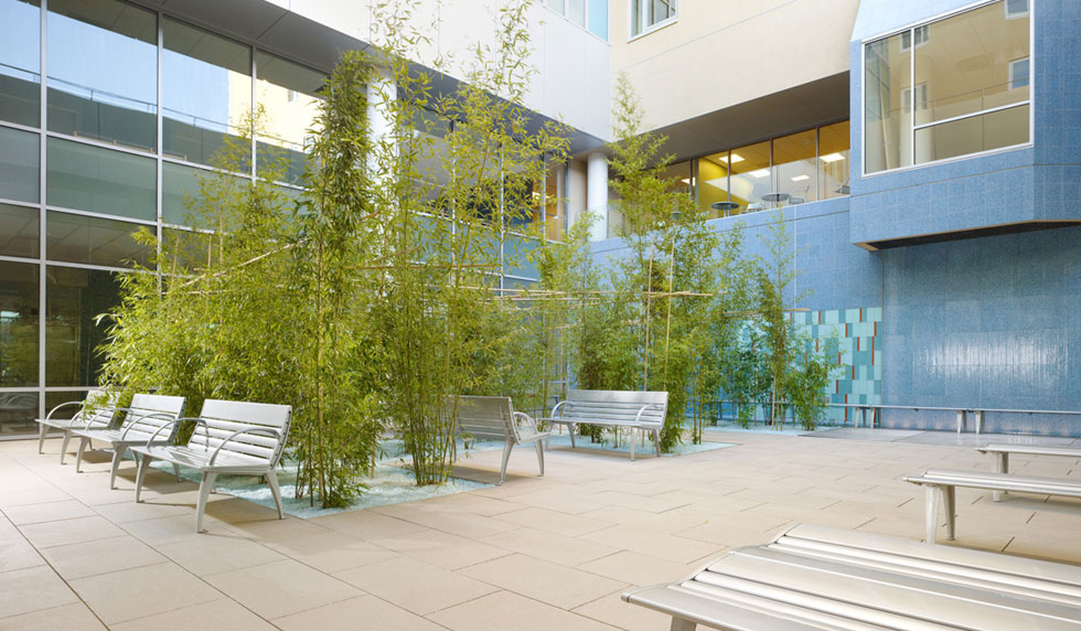 INTERSTICE Architects » Kaiser Vallejo Entry Court