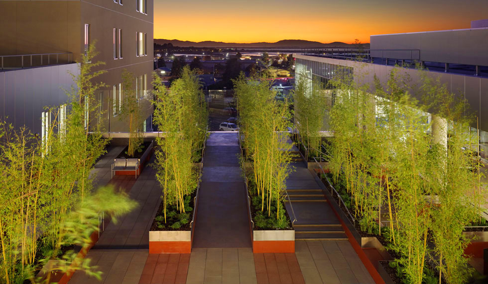 INTERSTICE Architects » Kaiser Vallejo Rehabilitation Courts