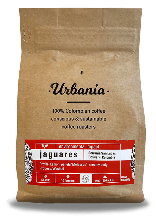 ITOC International Trade One Corp