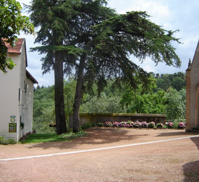 Domaine viticole avec chambres d'hôte en