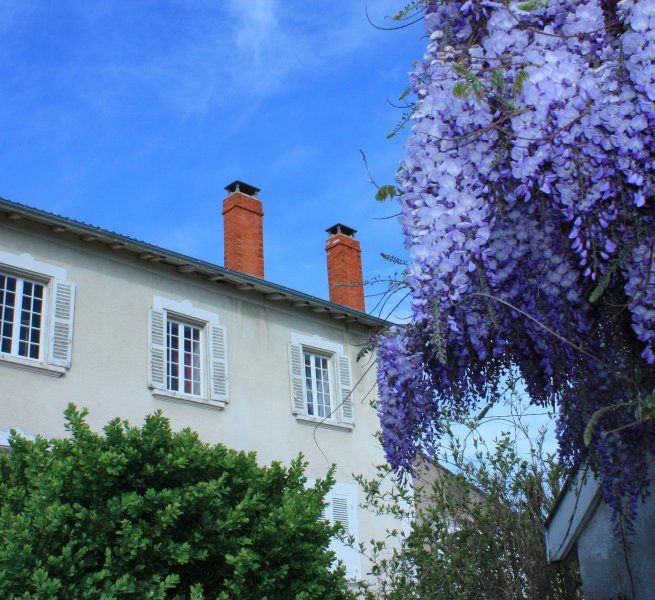 Domaine viticole avec chambres d'hôte en