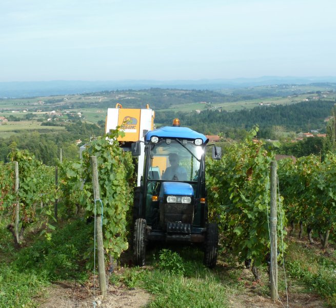 Domaine viticole avec chambres d'hôte en