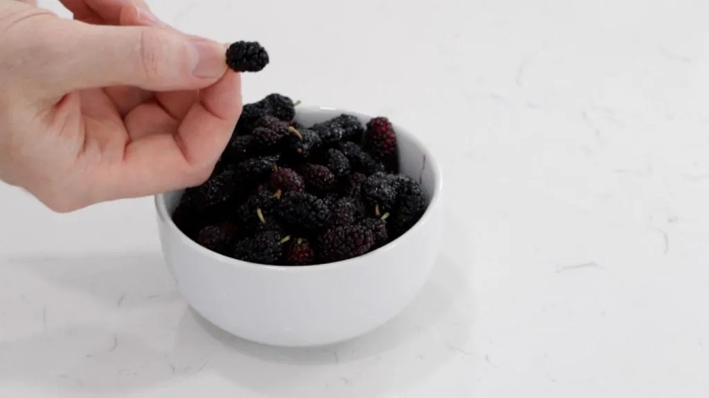 All About Mulberries