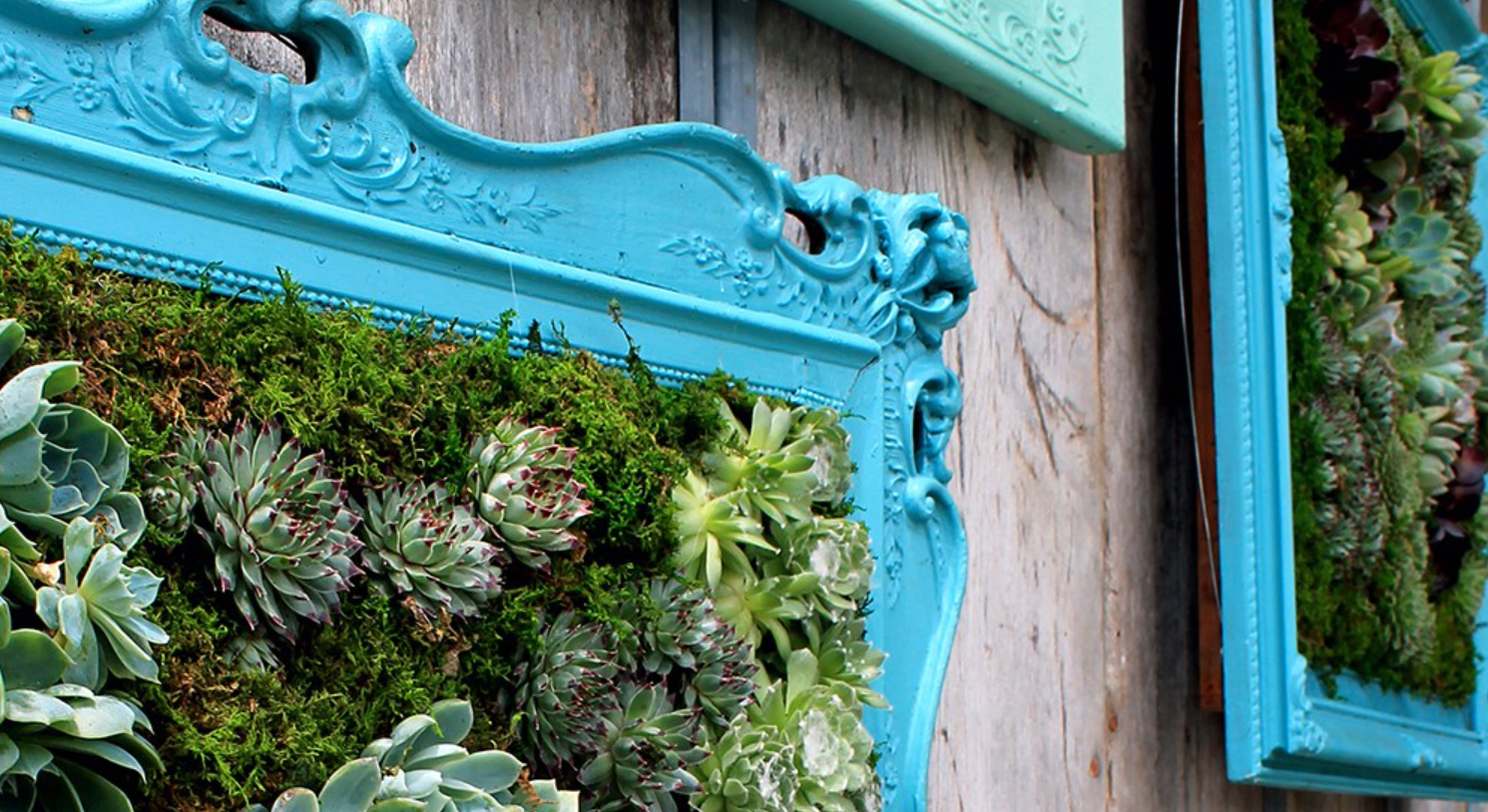 Vertical Garden dari Membuat hingga Tips & Tricks Merawatnya