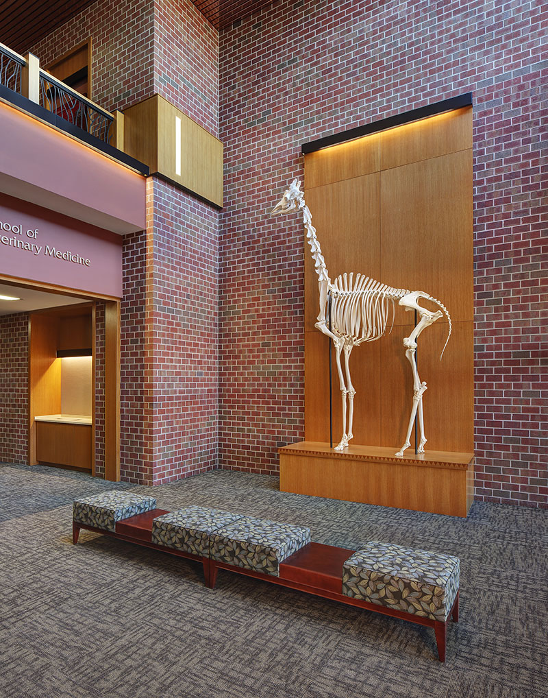 Madison School of Veterinary Medicine UW InteriorLOGIC