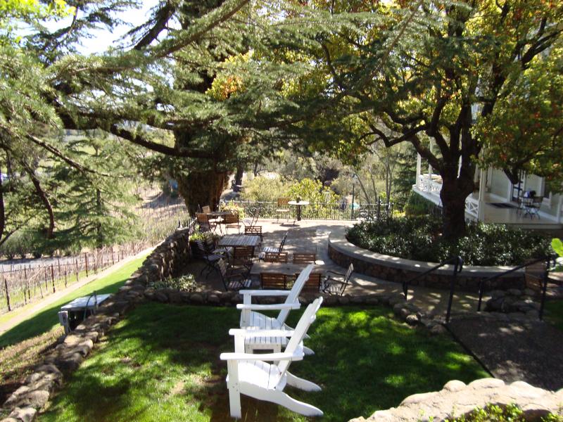 St. Clement Vineyards IntoWine