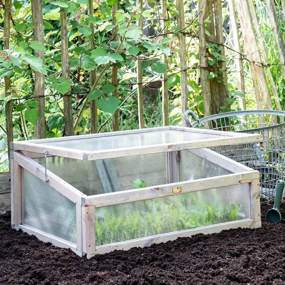 Moestuin Beginnen? Aanleggen, Planten & Bemesten – Intratuin