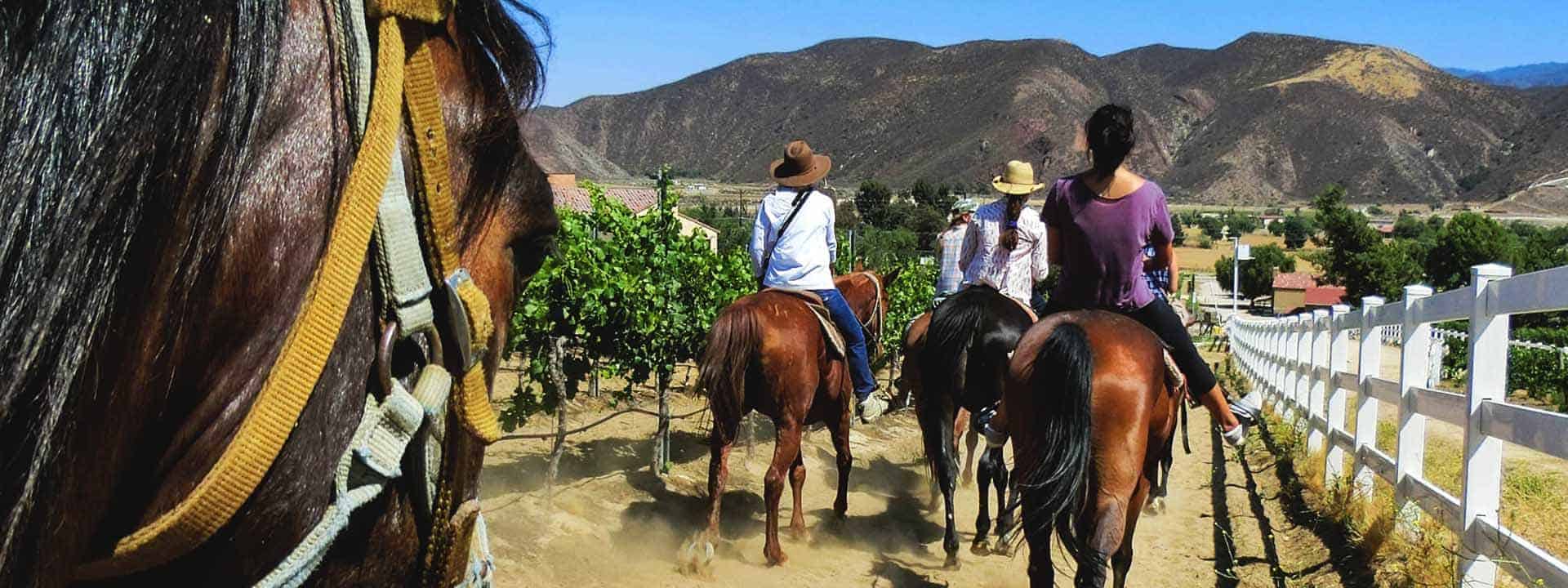 Horse Riding Wine Tasting Temecula Intrepid Escape