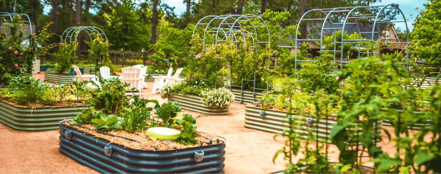 The Benefits Of Galvanized Raised Beds For Your Home