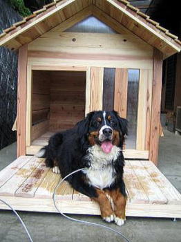 犬小屋にデッキ