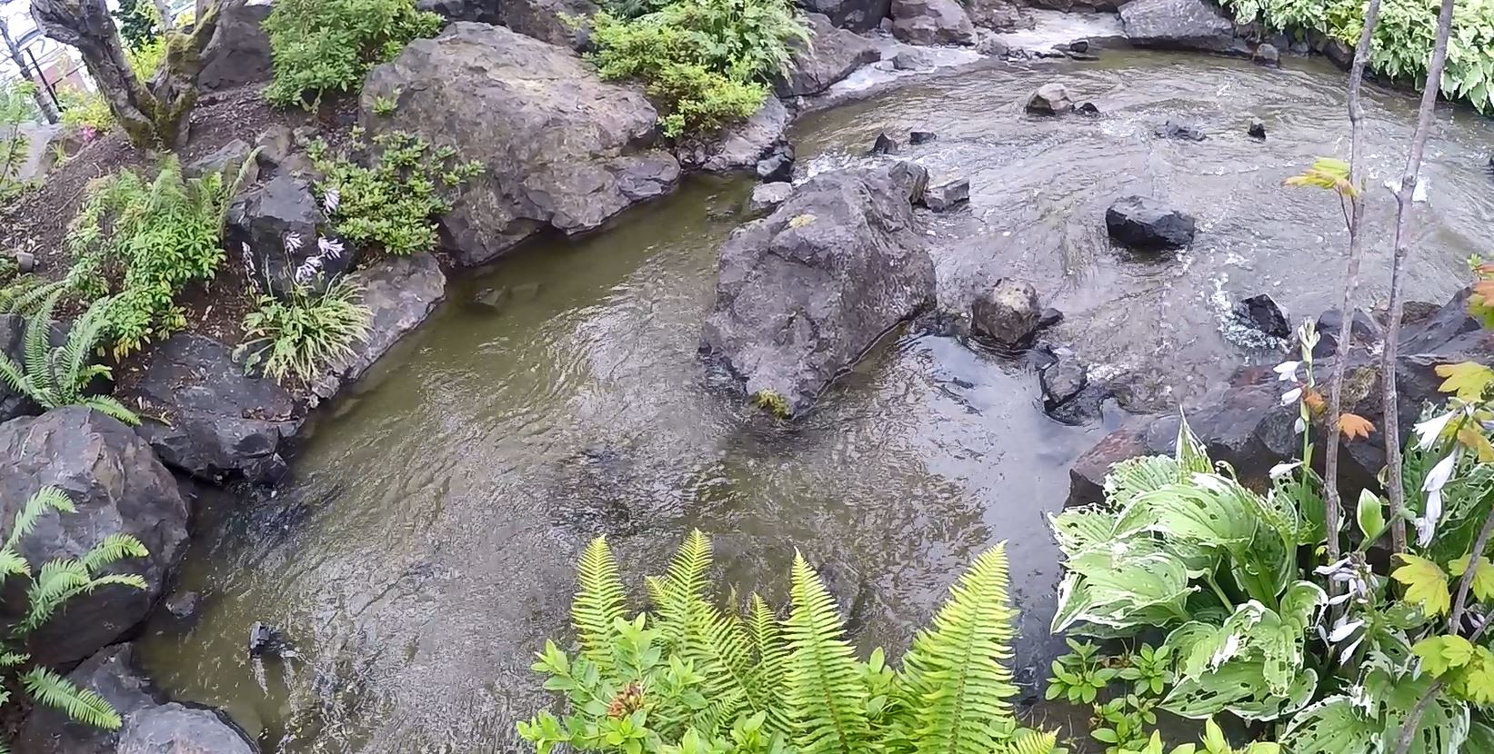 Boulder Falls Inn Oregon Garden Pond Water Feature