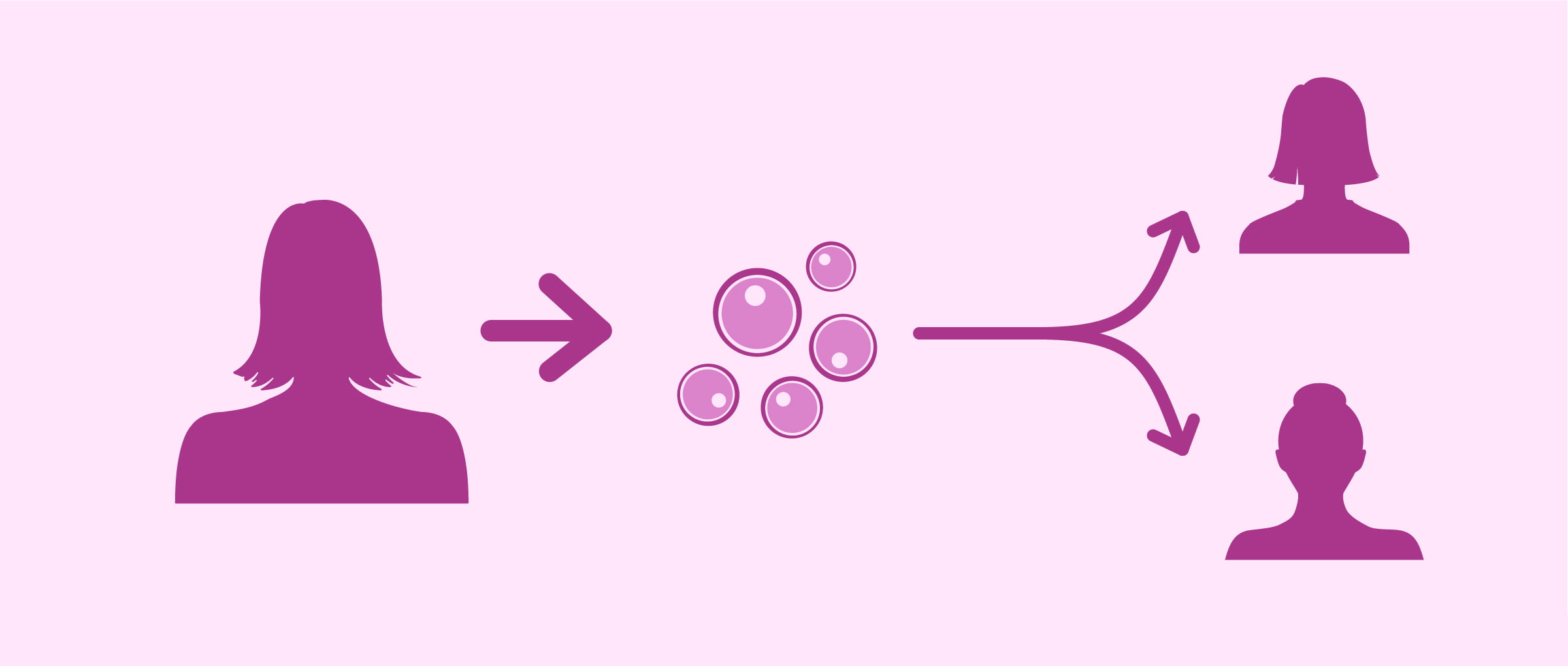 What is Egg Sharing in IVF? Process Step by Step