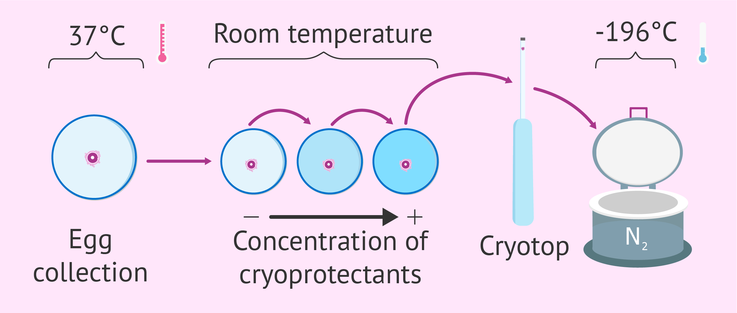 Cryopreservation & Vitrification of Embryos, Sperm & Eggs