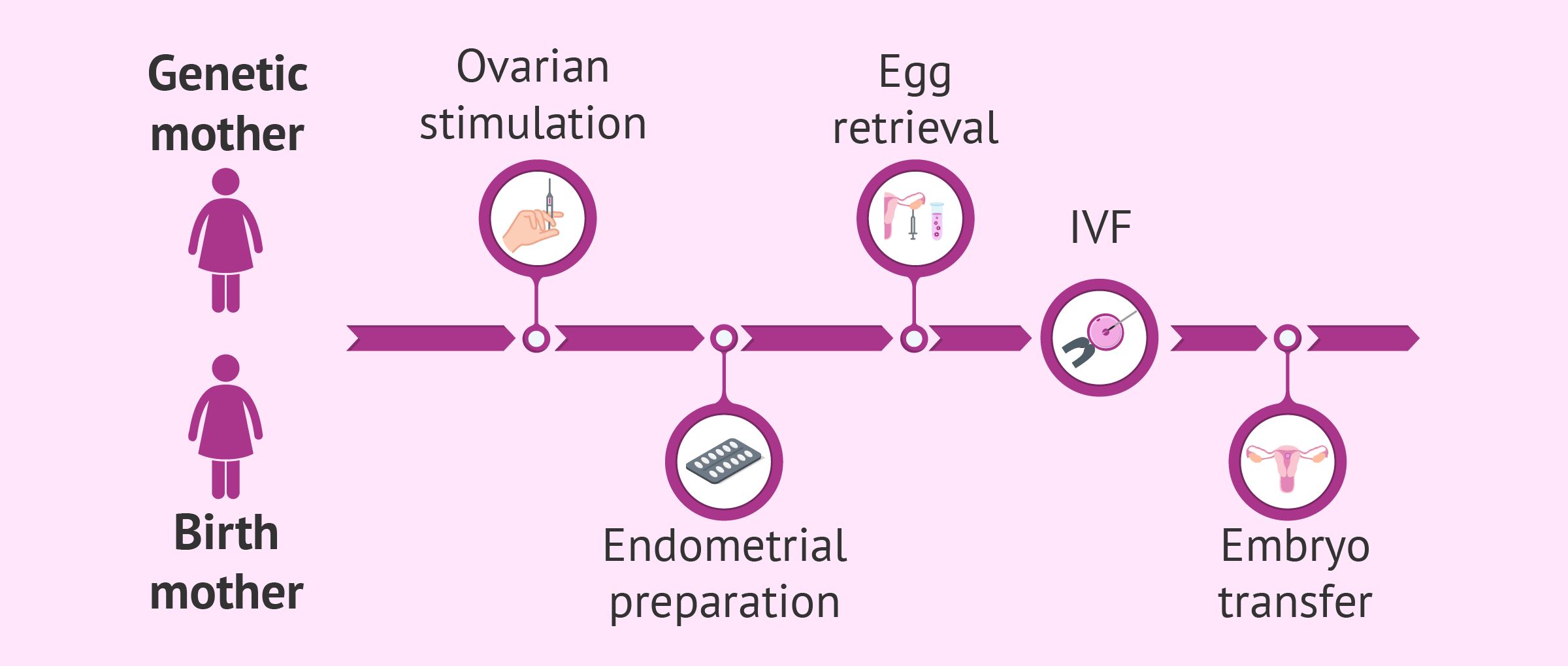 What is Reciprocal IVF for Lesbian Couples? Cost & Success Rates