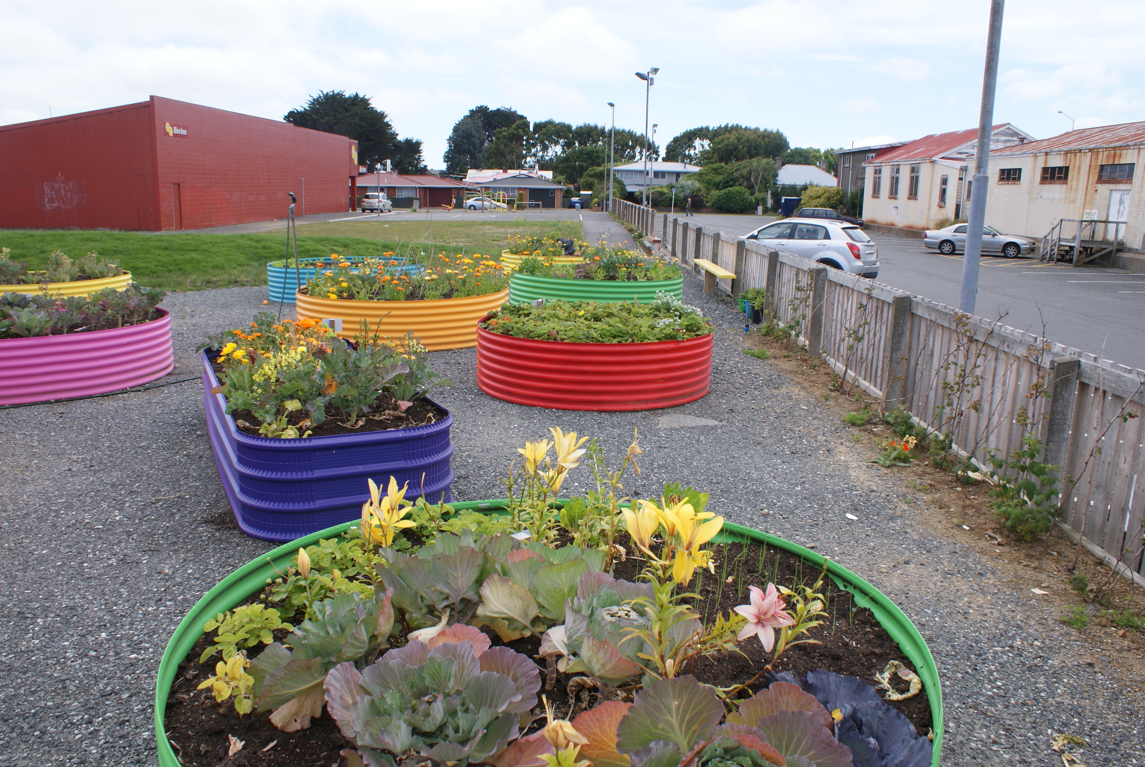 South Alive INVSOC Community Garden