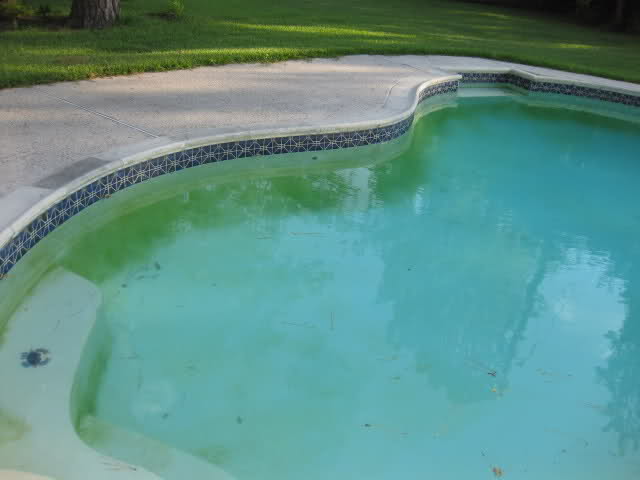 How to Start Fighting Pool Algae