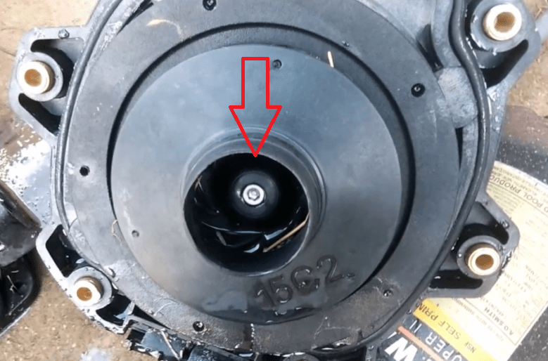 How To Remove Those Stubborn Pool Pump Impellers