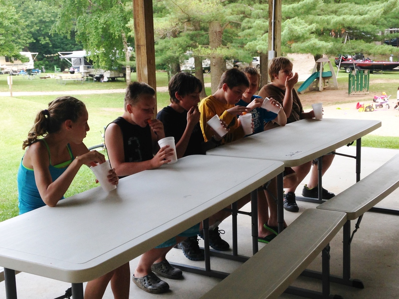 Iola Pines Campground Campground