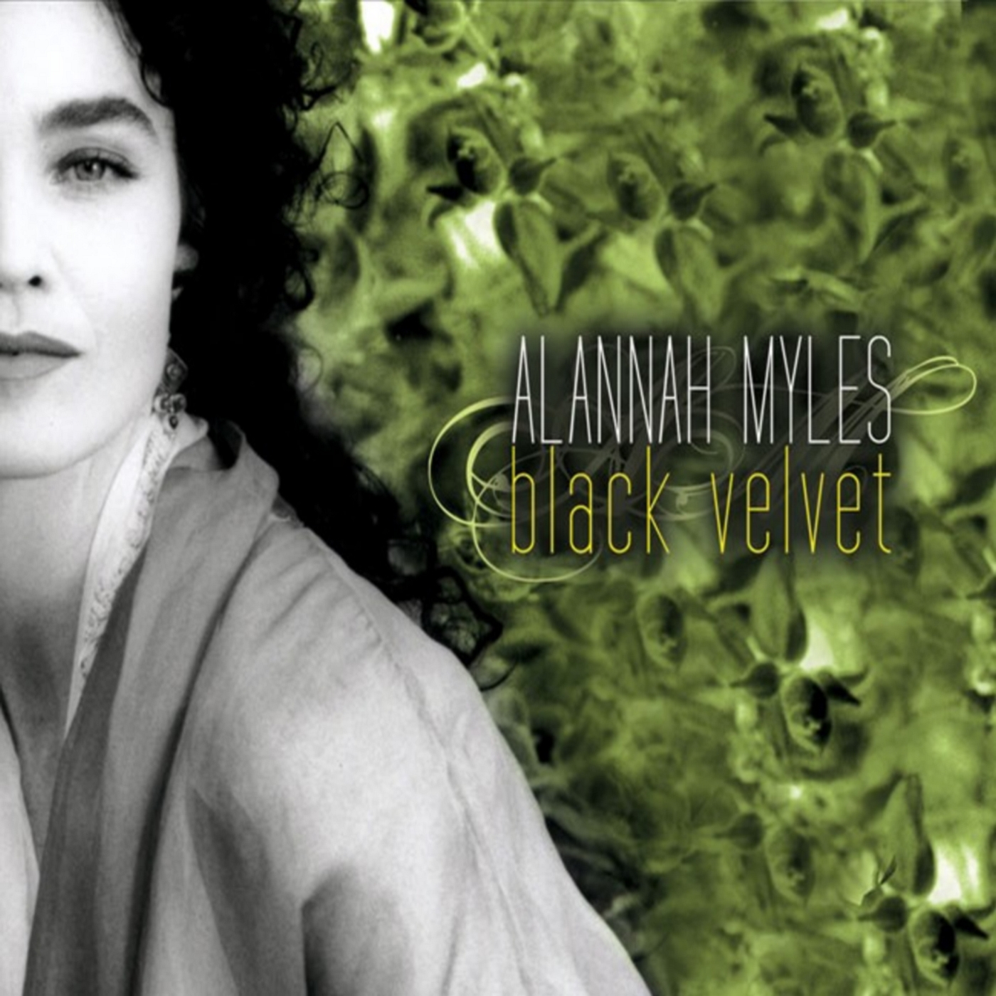Black Velvet 2007 Pop Alannah Myles Download Pop Music Download