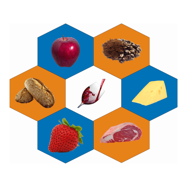 Food & Flavor Science IONICON