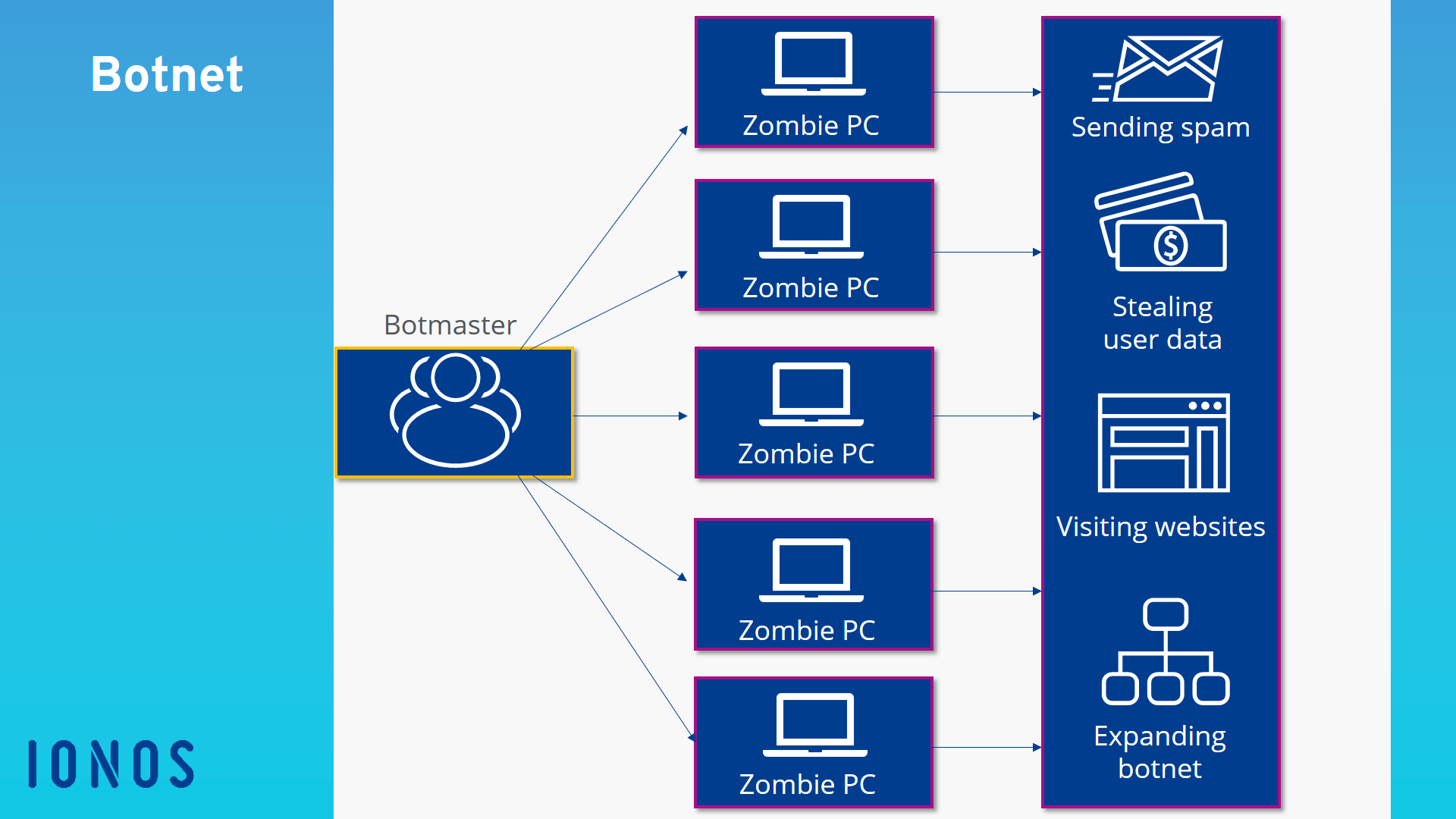What are and how can you protect yourself? IONOS CA